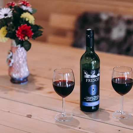 Aleksandra Apartment *